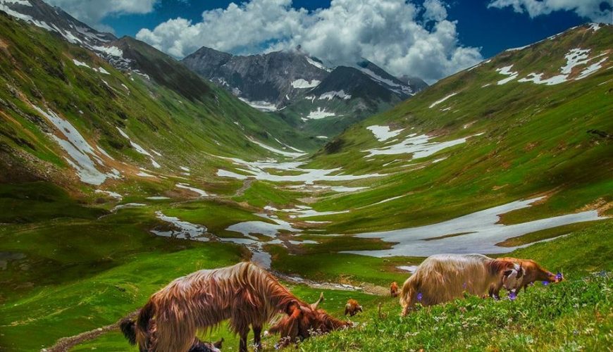naran beauty