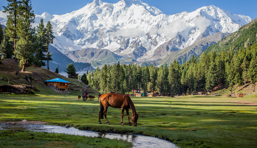 Fairy-Meadows-Pakistan-Image