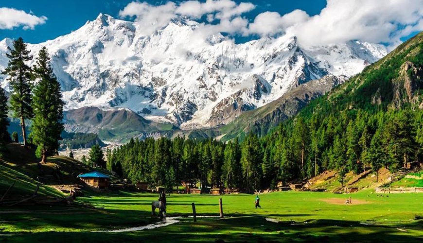 fairy-meadows