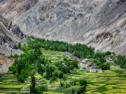 hunza