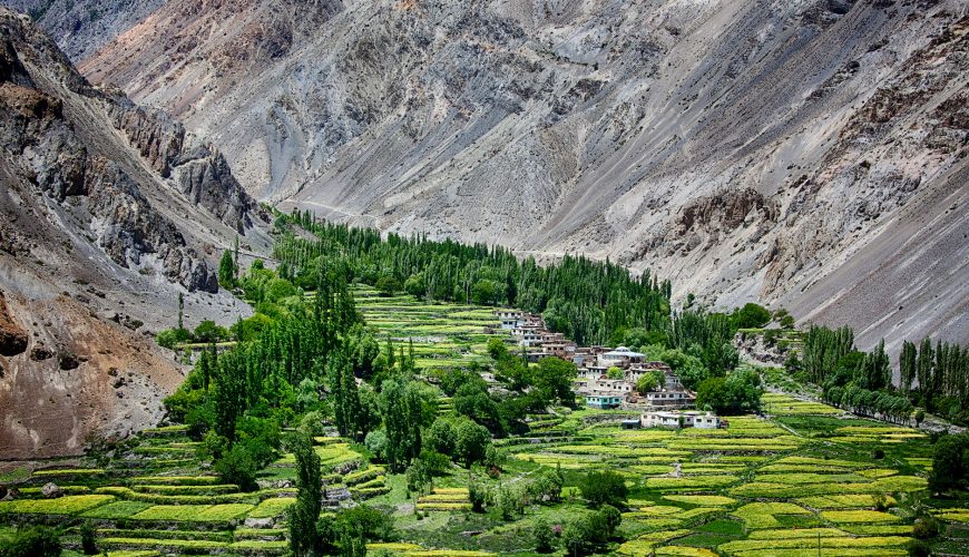 hunza